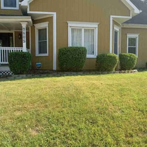 Bush Trimming by Clean Cut Land Management reviewed on June 19, 2022