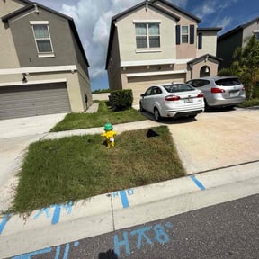 Bush Trimming by FLA Mowers LLC reviewed on February 25, 2025