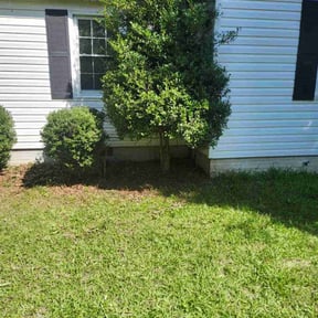 Bush Trimming by Escobar Landscaping reviewed on August 1, 2022