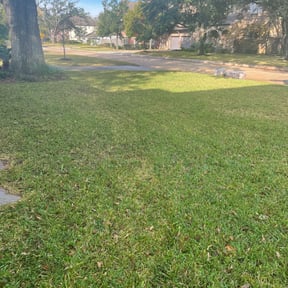 Leaf Removal by Integrity Lawn Care reviewed on March 2, 2022