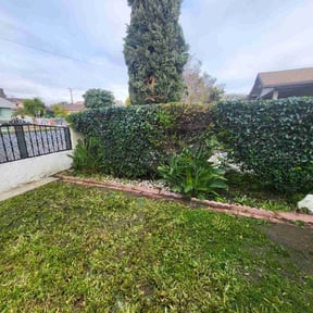 Bush Trimming by Good fellas landscaping &amp;janitorial llc reviewed on July 29, 2022