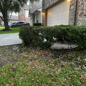 Bush Trimming by KL&R lawn care/ pressure washing reviewed on July 18, 2022