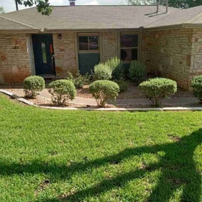 Bush Trimming by Golden Lion's reviewed on November 1, 2024