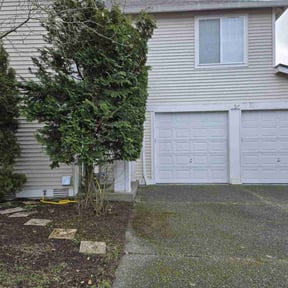 Leaf Removal by Ledezma reviewed on March 24, 2022