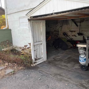 Cleanups by Fresh Cut Lawn Care & Property Services, LLC reviewed on June 22, 2022
