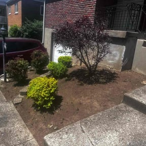 Bush Trimming by MPV Landscaping reviewed on April 29, 2022