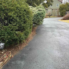 Bush Trimming by Conley Lawn care reviewed on July 1, 2022