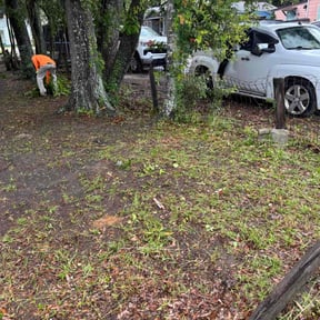 Leaf Removal by M-N-M Lawn care service reviewed on July 14, 2022