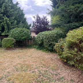 Bush Trimming by KJ's Yardworks reviewed on June 16, 2025