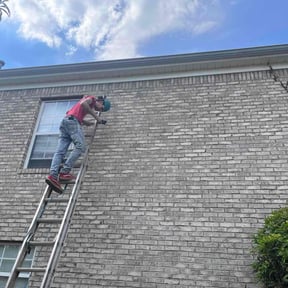 Cleanups by 1st Priority Landscape & Tree Service Inc reviewed on August 5, 2020