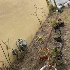 Bush Trimming by TKM reviewed on April 13, 2025