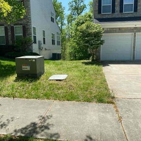 Leaf Removal by Andrew White reviewed on May 12, 2022