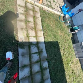 Weeding by gabetreeand lawn care services reviewed on January 4, 2022