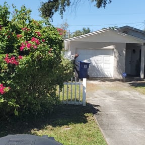 Bush Trimming by NEW CREATION LAWN PROFESSIONALS reviewed on October 25, 2024