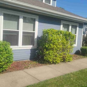Cleanups by JR Lawn Maintenance reviewed on June 7, 2022