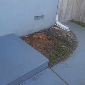 Cleanups by Moe better lawn service reviewed on June 4, 2022