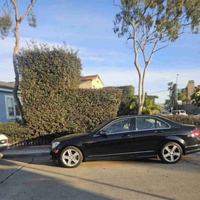 Bush Trimming by Forever Green FG LLC reviewed on October 23, 2024