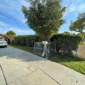 Leaf Removal by Forever Green FG LLC reviewed on October 11, 2024