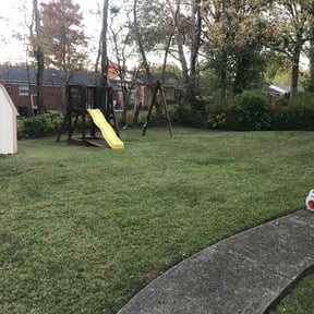 Cleanups by Jay R reviewed on May 15, 2025