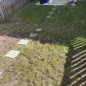 Leaf Removal by PROformance Landscaping reviewed on May 21, 2022
