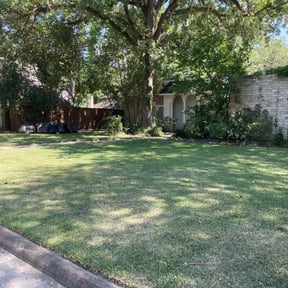 Leaf Removal by Signature Lawn Care LLC. reviewed on March 28, 2022