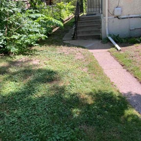 Cleanups by Clark and son lawn care reviewed on July 31, 2022