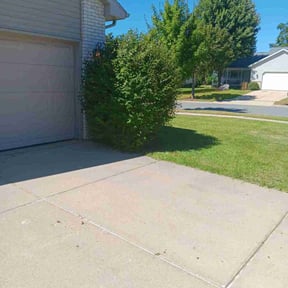 Bush Trimming by Reliable Cuts Lawn service LLC reviewed on May 7, 2022
