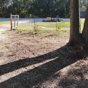 Leaf Removal by Family Roots Lawn Care reviewed on September 7, 2024