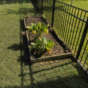 Flower Bed Weeding by LSLTDallas/FortWorthTruGreen reviewed on April 23, 2025