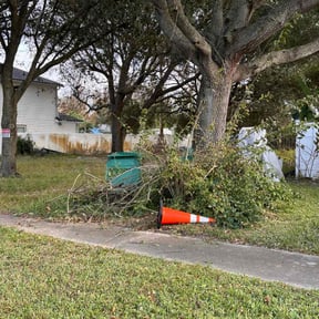 Bush Trimming by Gtpi lawn Care reviewed on June 2, 2022