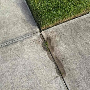Flower Bed Weeding by Lucas lawn care reviewed on June 27, 2022