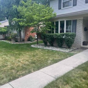 Bush Trimming by Washington transport lawn co. reviewed on June 29, 2025
