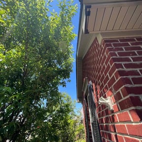 Bush Trimming by JC Landscaping reviewed on June 23, 2022