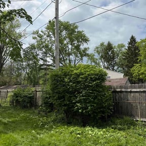 Bush Trimming by Clary’s All In One LLC reviewed on June 6, 2022