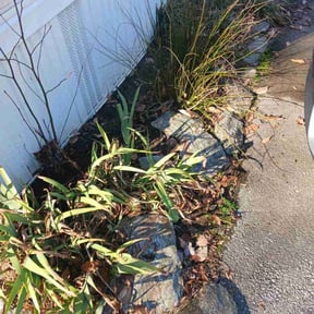 Flower Bed Weeding by A D's Lawn Care LLC reviewed on November 4, 2024