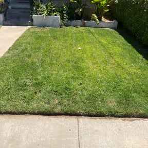 Bush Trimming by A-1 Affordable Lawn Care reviewed on April 20, 2022