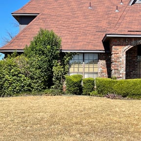 Bush Trimming by Texas Prime Landscaping reviewed on October 18, 2024