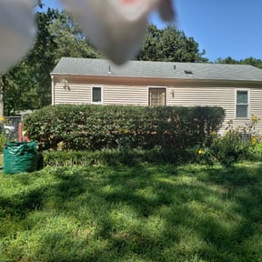 Bush Trimming by Precision Lawn Experts reviewed on March 10, 2025