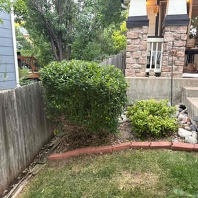 Bush Trimming by Jasper&#039;s Landscaping reviewed on July 20, 2022