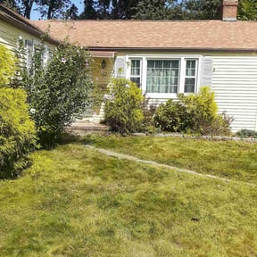 Bush Trimming by Rody & Mel's Landscaping reviewed on November 16, 2021