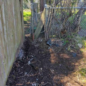 Cleanups by WestSide Landscaping reviewed on June 13, 2025