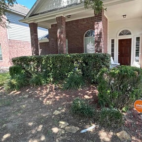 Bush Trimming by Torres Lawn Care reviewed on May 13, 2022
