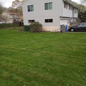 Leaf Removal by Christopher Dejesus reviewed on April 28, 2022