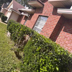 Bush Trimming by Pink Pearl Landscaping reviewed on July 31, 2025