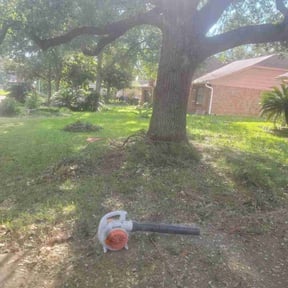 Cleanups by Geno's landscaping reviewed on June 7, 2022