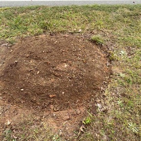 Flower Bed Weeding by Superior Lawn Pros LLC reviewed on January 4, 2025