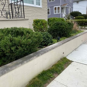 Bush Trimming by Ultimate Landscape Contractor reviewed on June 1, 2022