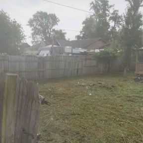 Bush Trimming by Northeast Yardworx reviewed on August 9, 2024
