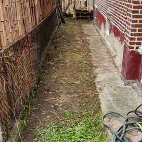 Leaf Removal by Lawns 4 Less reviewed on July 13, 2025