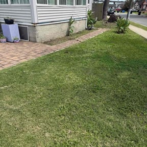 Flower Bed Weeding by Carter Lawn Service reviewed on June 20, 2022